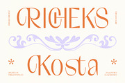 Richeks Kosta Thin Sans Serif, a Sans Serif Font by timelesstype.co (Thumbnail 1 of 15)