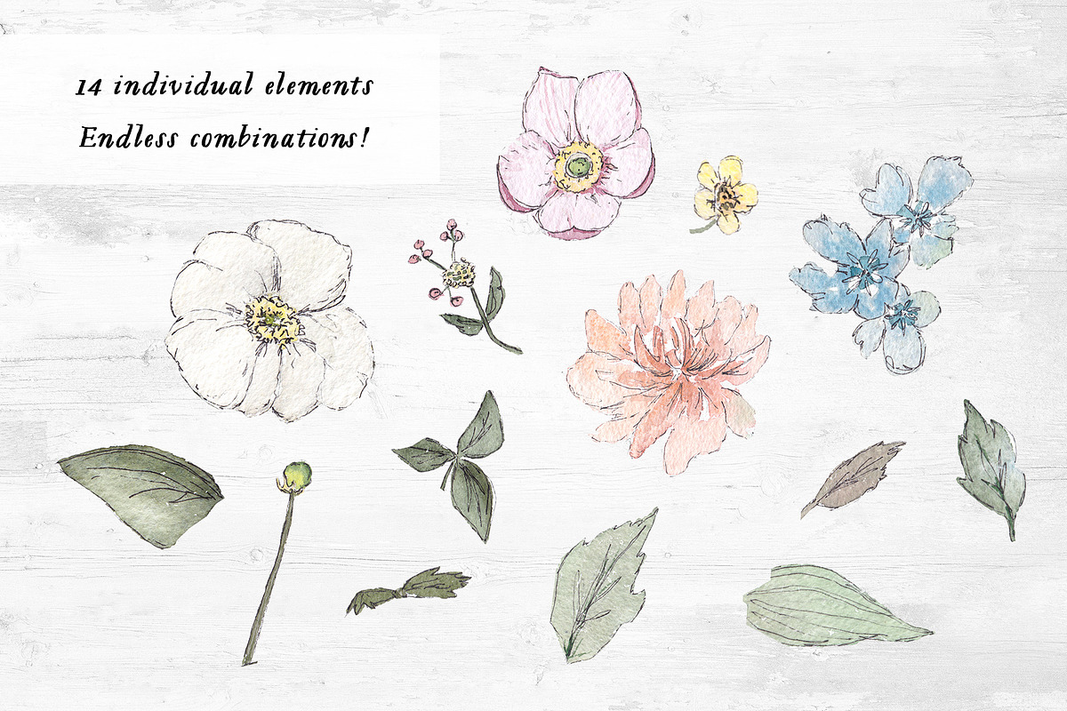 Botanical Watercolor Collection, an Illustration by Emerald & Ivy Studios (Photo 9 of 12)