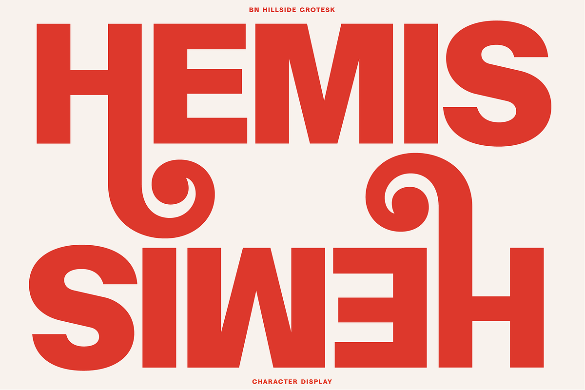 BN Hillside Grotesk, a Sans Serif Font by Bnick (Photo 8 of 14)