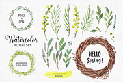 Set of watercolor mimosa flower, a Decorative Illustration by natadanko (Thumbnail 1 of 3)
