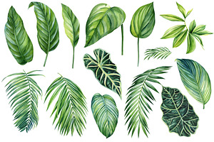 Tropical Green Plants Watercolor