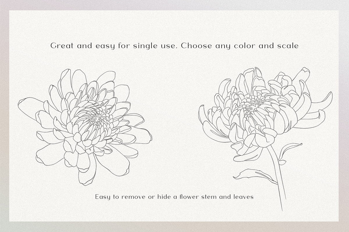 Blossom - floral line art, an Illustration by Anna.Klets (Photo 7 of 14)