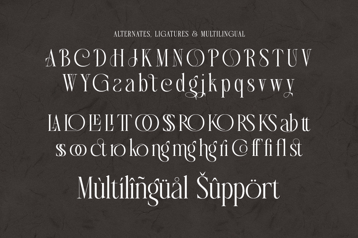 Carika - Elegant Serif, a Serif Font by Qweera Studio (Photo 10 of 10)