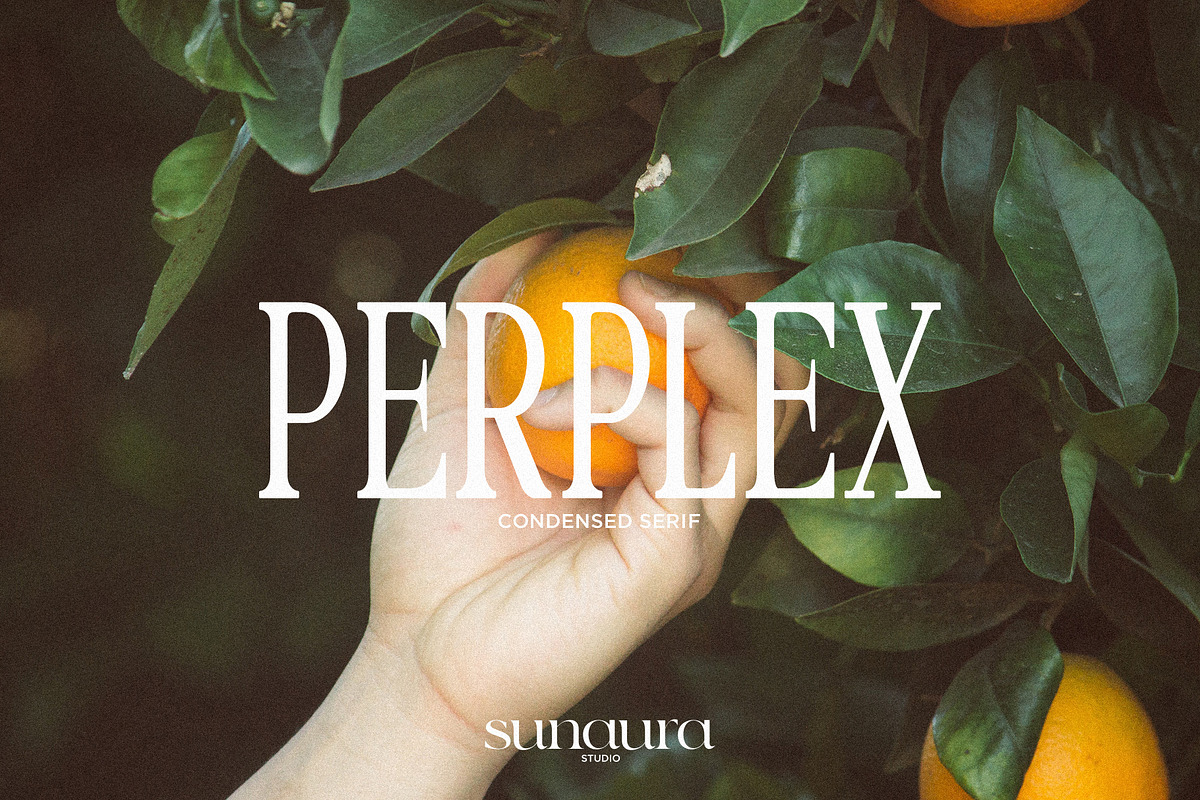 PERPLEX - Condensed Serif Typeface, a Serif Font by Schrifted Type (Photo 1 of 8)