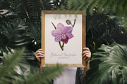 Watercolor Vintage Botany, an Illustration by Fluffy Unicorn (Thumbnail 9 of 10)
