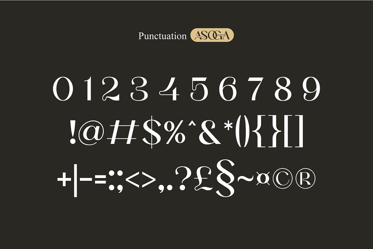 Asoga – Modern Elegant Serif Font, a Serif Font by WhymoreArt (Photo 11 of 11)