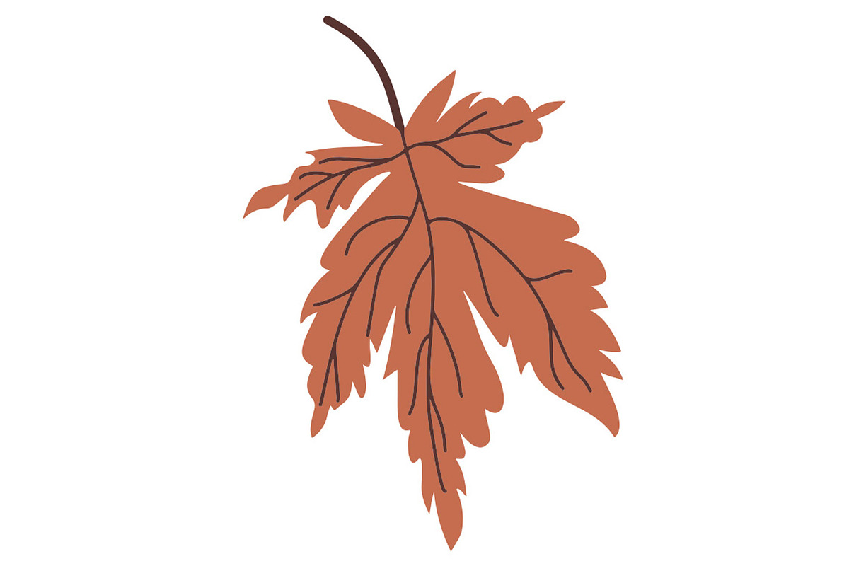 Autumn Leaves Vector Clipart Bundle, an Object Graphic by Yuby Creative (Photo 12 of 12)