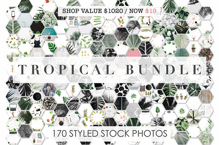 98% OFF | Tropical Bundle | 170 IN 1, a Photo by Floral Deco