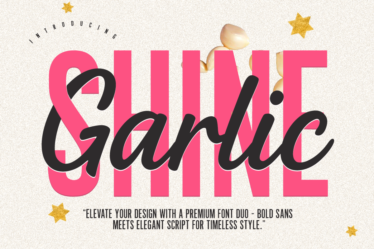 Garlic shine font duo, a Script Font by cocodesign (Photo 1 of 8)