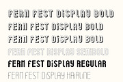 Ferm Fest Display Font Family, a Font by Hughie Design Co. (Thumbnail 4 of 6)