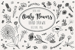 Only flowers !