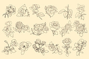 Rose flowers procreate stamp brushes, a Brush Add-On by ViktoriArt (Thumbnail 2 of 6)