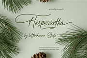 Hesperantha Font, a Handwritten Font by Letterhanna Studio (Thumbnail 1 of 9)