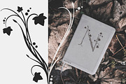 Magic Ivy. Botanical Font., a Serif Font by AnMark (Thumbnail 11 of 15)