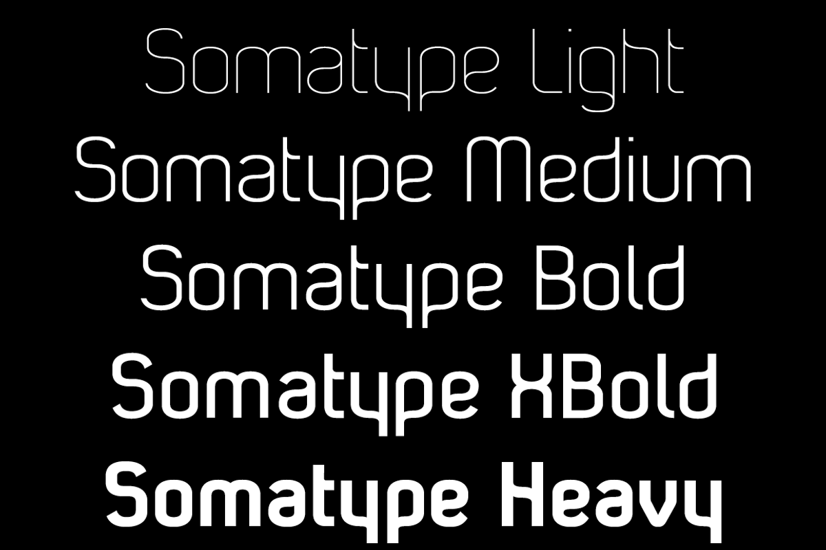 Somatype preview 2