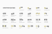 TA Regresso Display, a Serif Font by TAFT Foundry (Thumbnail 3 of 11)