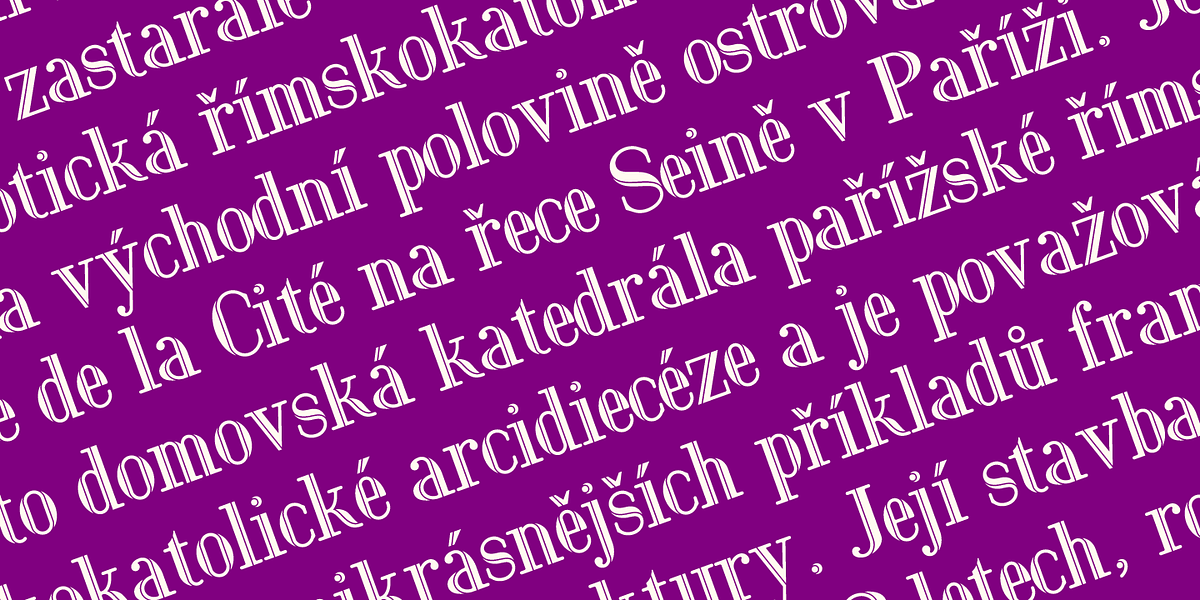 Vintage Paris Pro, a Serif Font by Kentype (Photo 5 of 5)