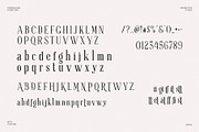 Cristtan Elegant Serif Font Typeface, a Serif Font by Perfectype (Thumbnail 5 of 6)