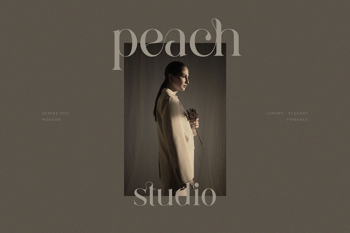 Denike || Stylish Modern Serif, a Serif Font by BrandSemut (Photo 6 of 11)