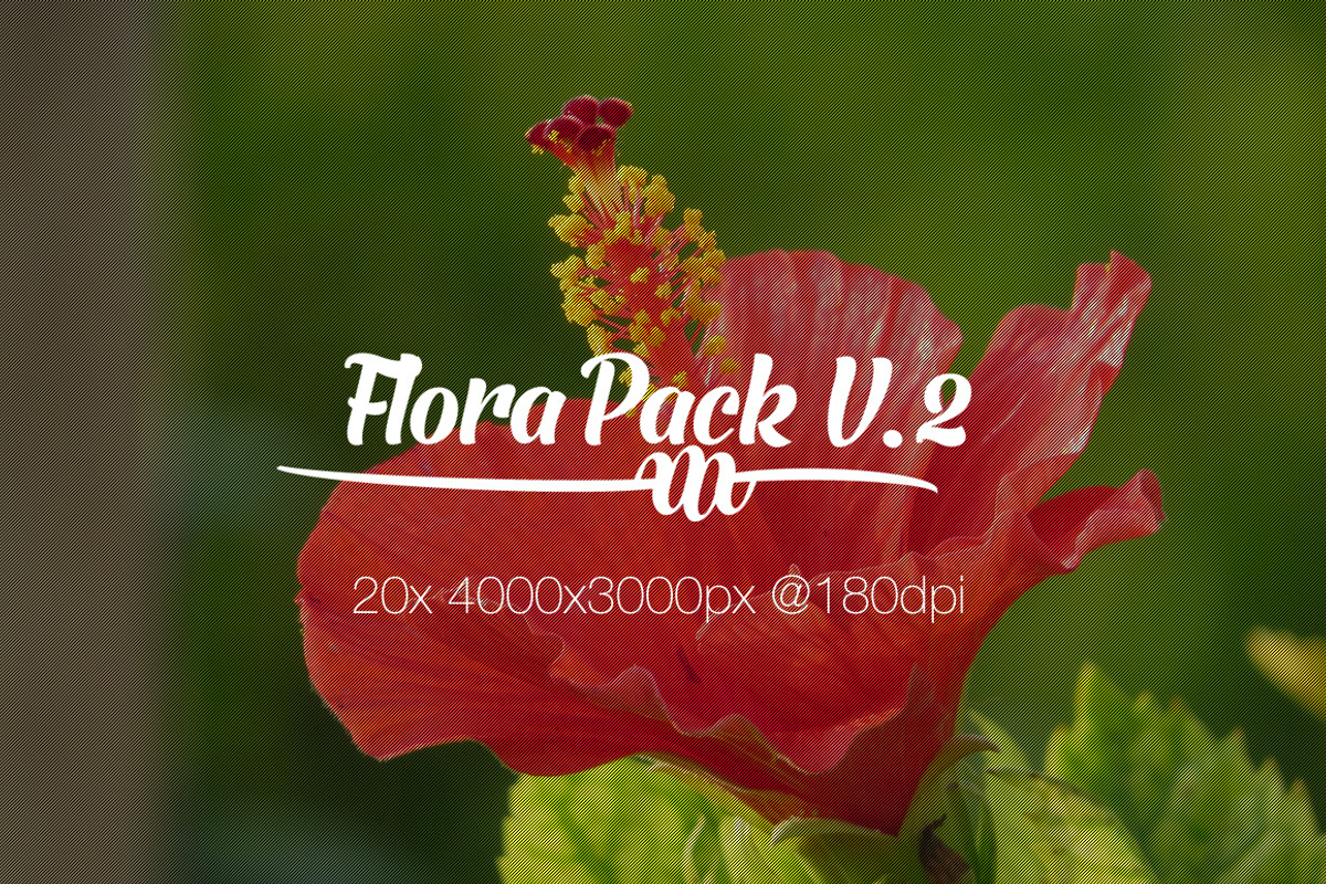 Flora Photo Pack V2 preview 6