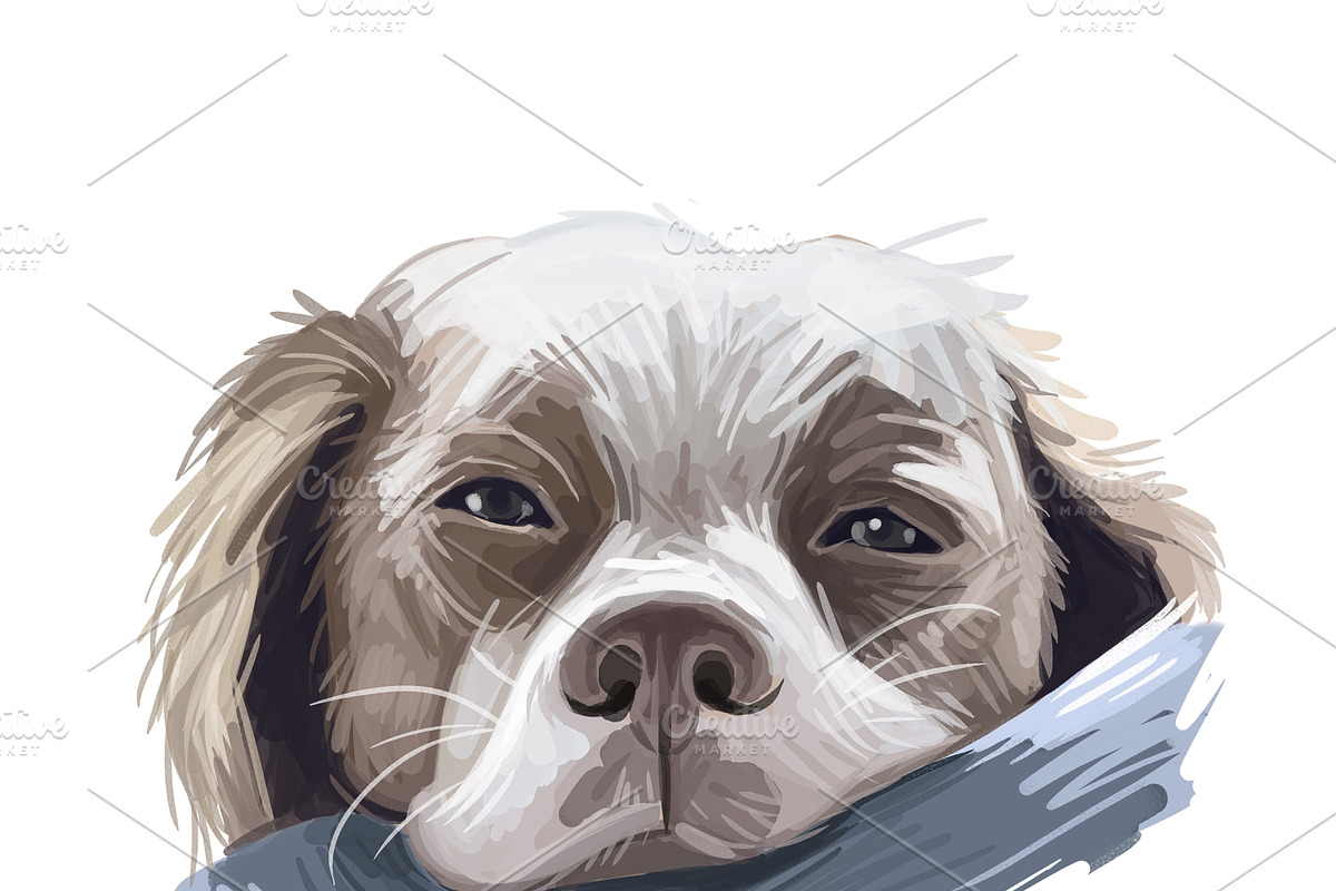 Puppies Dog Breeds Big Bundle 135Pcs, an Animal Illustration by Dneprstock (Photo 17 of 68)