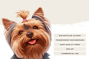 Watercolor Yorkie Dog Clipart Bundle, an Animal Illustration by Design Scotch (Thumbnail 7 of 8)