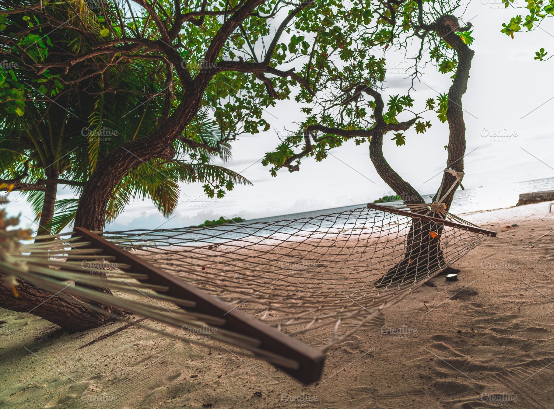 Hammock on the bright beach, a Holiday Photo by SkyNext
