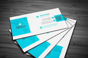 Losun Business Card