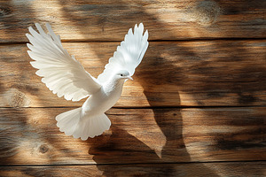 White dove with outstretched wings on wooden background, an Animal Photo by AlyaAnd