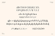 Radiker Elegant Ligature Serif Font, a Serif Font by Perfectype (Thumbnail 5 of 6)