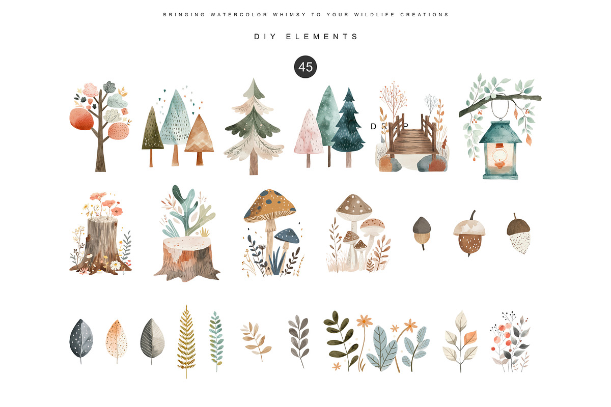 watercolor woodland animal clipart, an Animal Illustration by Pink Studio Art (Photo 10 of 14)