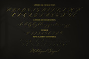 Alysthia, a Script Font by Integritype Studio (Thumbnail 6 of 7)