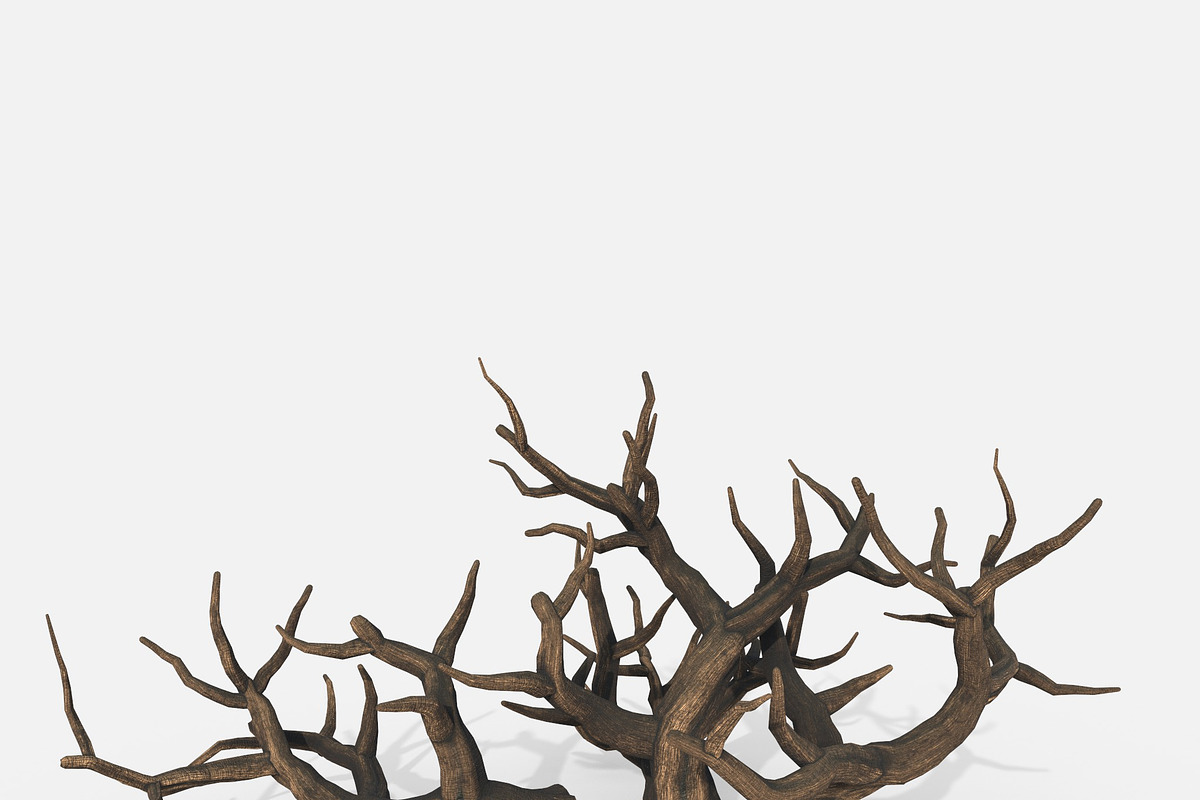 Aquarium Snag Banches V1, an Environmental 3D Model by AndrewWhite (Photo 1 of 8)