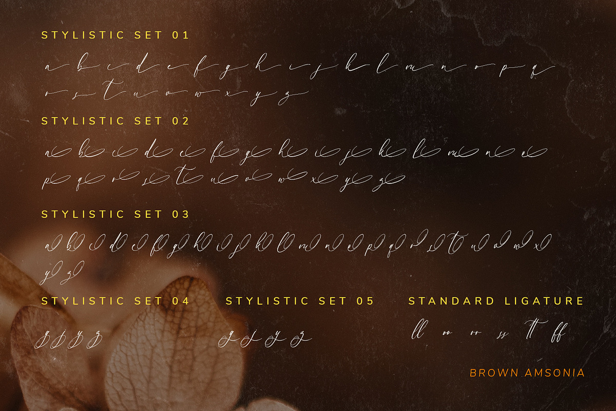 Brown Amsonia, a Script Font by Nathatype (Photo 10 of 10)