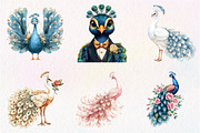Wedding Peacock Clipart, an Illustration by CreationArt (Thumbnail 2 of 9)