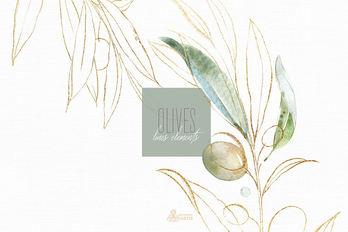 Olives. Watercolor Collection, a Decorative Illustration by OctopusArtis (Photo 7 of 17)