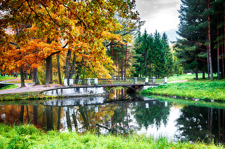 Autumn in city park, St-Petersburg, a Nature Photo by ariadna de raadt
