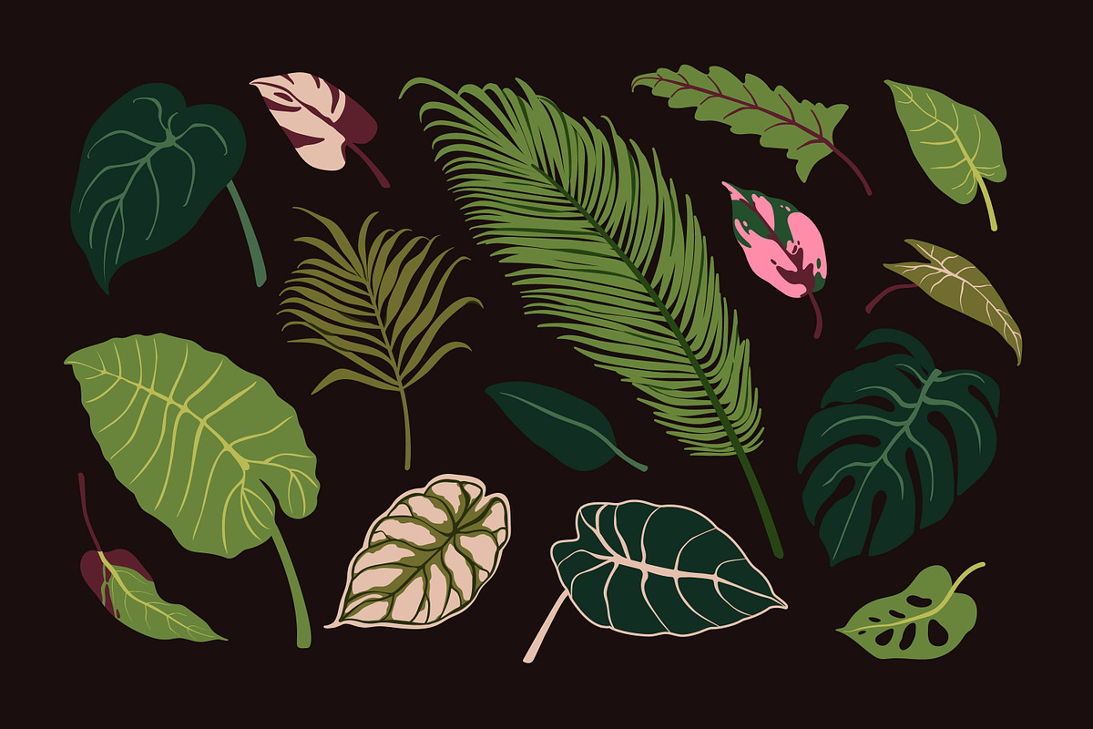 Exotic leaves. Green leaf plants set, a Decorative Illustration by Good Studio (Photo 7 of 10)