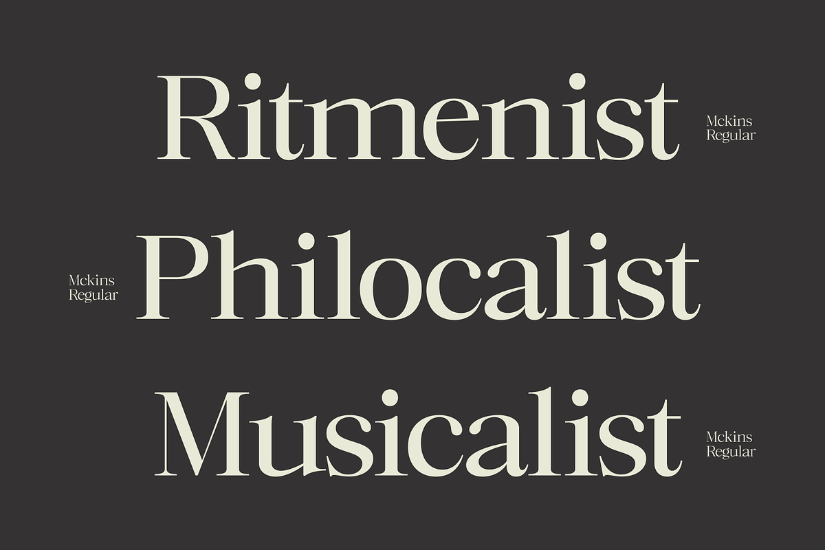 Mckins - Family Serif Font, a Serif Font by Marvadesign (Photo 2 of 9)