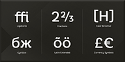 Core Rhino, a Sans Serif Font by S-Core (Thumbnail 4 of 5)