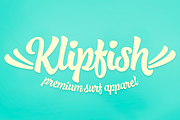Fresh Press Intro offer -50% off!, a Script Font by Fenotype (Thumbnail 10 of 10)