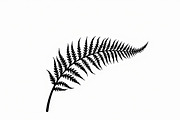 Elegant Fern Leaf Silhouette Bundle, an Illustration by Designs_River (Thumbnail 5 of 9)