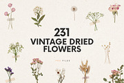 231 Vintage Dried Flowers, an Object Graphic by Ksuview (Thumbnail 1 of 8)