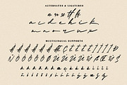 Island of Dusk - Stylish Script Font, a Script Font by Geelator Studio (Thumbnail 12 of 12)