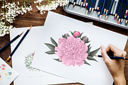 Peony Collection, a Wallpaper Graphic by sizileon (Thumbnail 2 of 14)