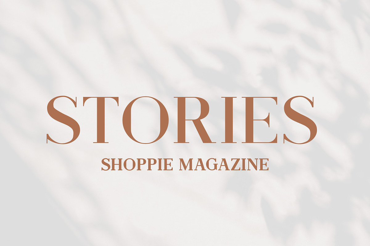 Stinker - Modern Serif Family preview 5