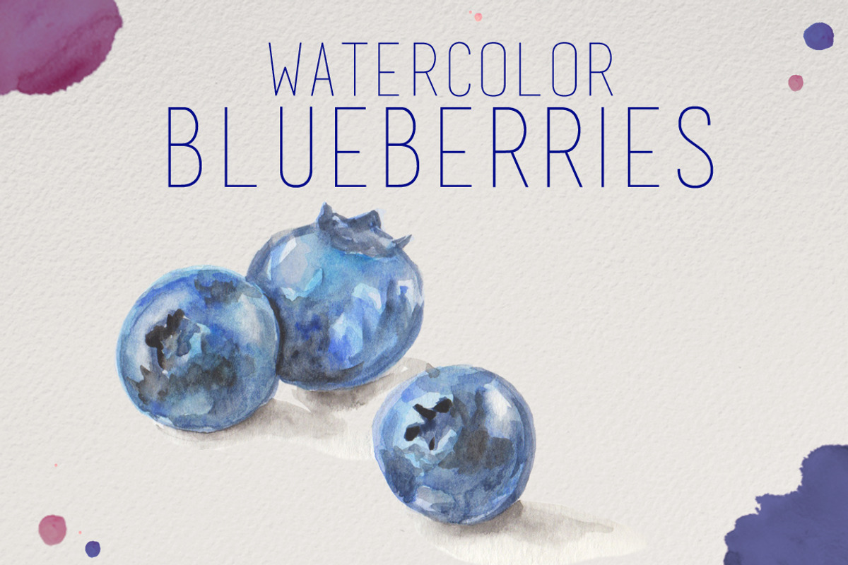 Watercolor Blueberries, an Illustration by R.Ewers Designs (Photo 1 of 3)