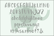 Jumbo, a Script Font by Larin Type Co. (Thumbnail 5 of 5)