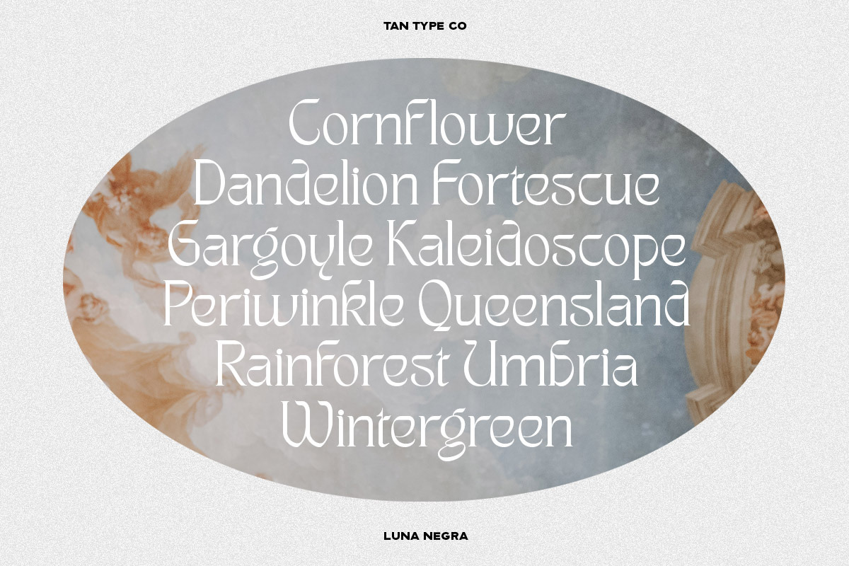 TAN - LUNA NEGRA, a Serif Font by TanType (Photo 7 of 16)