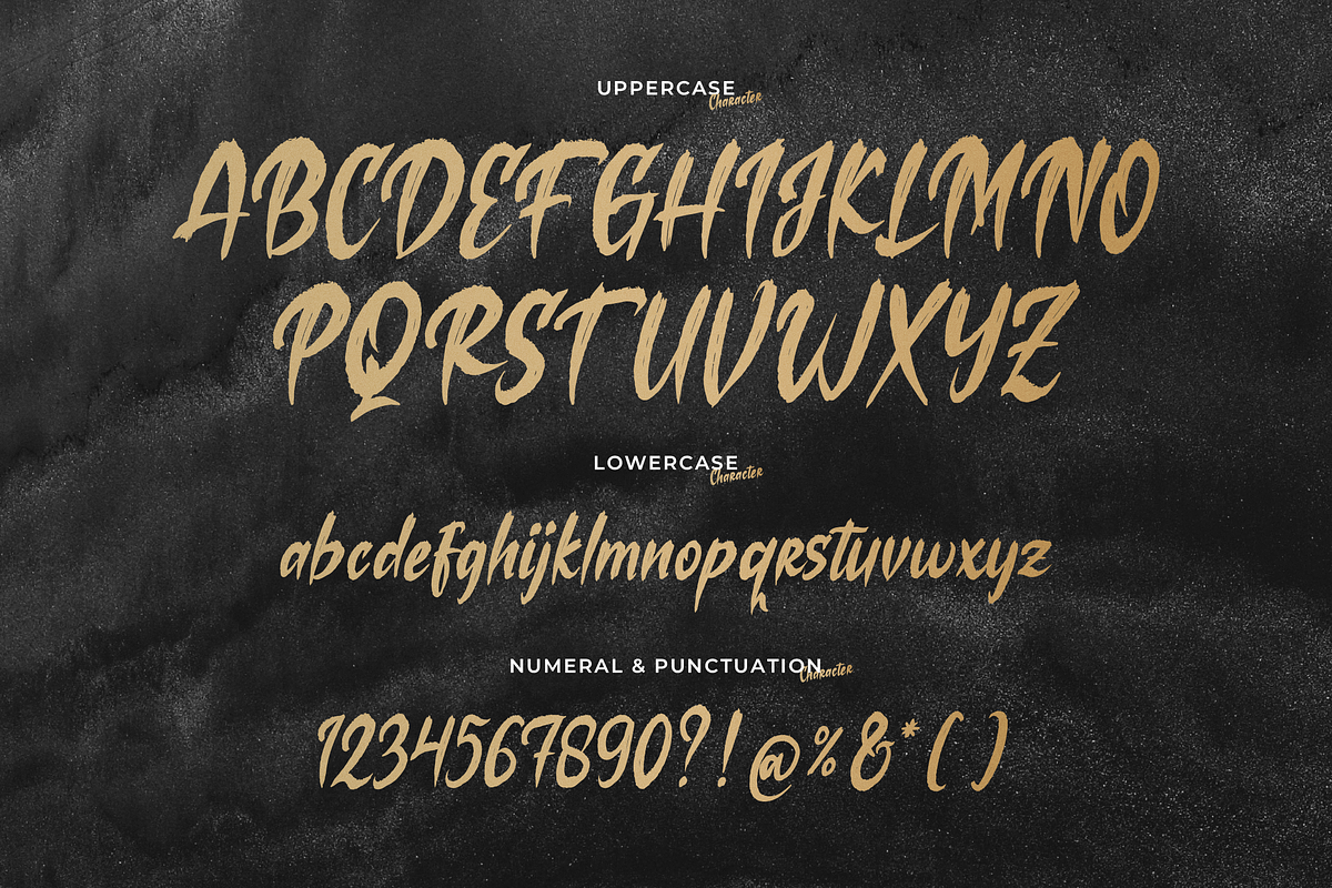 Losiento | Brush Handwritten Font, a Handwritten Font by Denustudios (Photo 13 of 15)